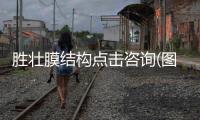 胜壮膜结构点击咨询(图)