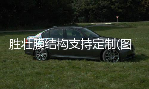 汉王***锁代理商,朔州***锁,龙城科密商贸(查看)