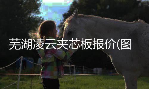美丽家园太阳能路灯哪家质量好