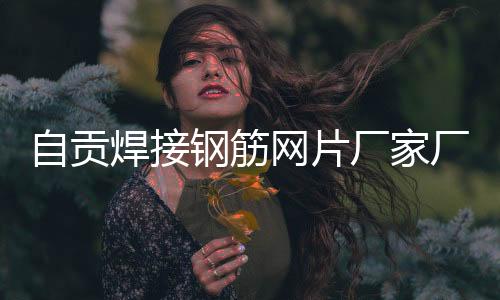 四两科技太阳能外墙砖光伏走廊LED灯装配式安装可离网可并网