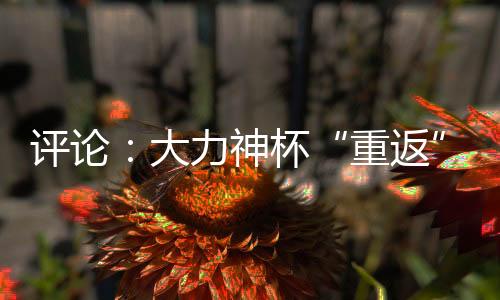 评论：大力神杯“重返”中国，中国男足何时重返世界杯？