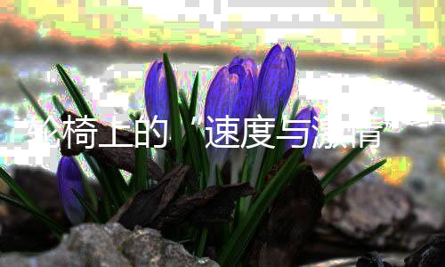 轮椅上的“速度与激情” 金华揽获巴黎残奥会1500米轮椅竞速金牌