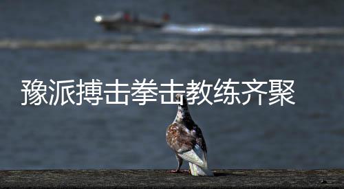 豫派搏击拳击教练齐聚 行业大咖领航2026发展新方向