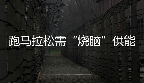 跑马拉松需“烧脑”供能?国际最新研究称大脑髓磷脂会发生可逆改变