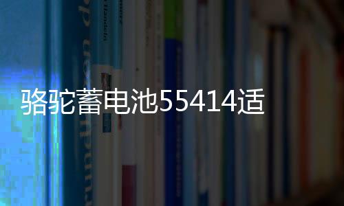 骆驼蓄电池55414适配桑塔纳2000老捷达汽车电瓶54AH 以旧换新