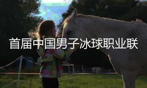 首届中国男子冰球职业联赛总决赛开幕 北京、深圳迎“开门红”