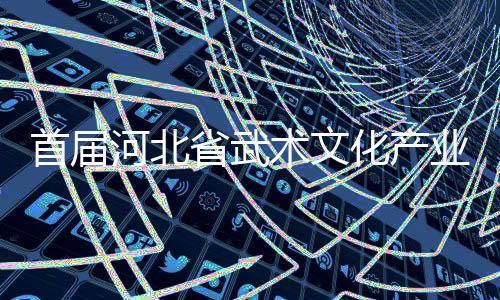 首届河北省武术文化财产发展交流大会展示武术魅力