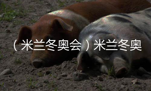 （米兰冬奥会）米兰冬奥会“中国之家”开门迎客