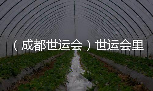 （成都世运会）世运会里的非遗之约：东方美学与世界温柔相遇