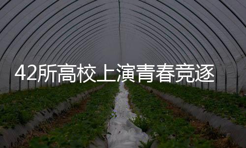 42所高校上演青春竞逐 2025CURA全国接力总决赛首次在沪举行