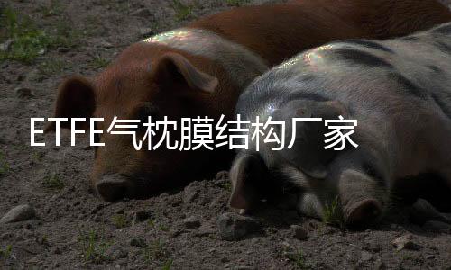 卓远输送设备(多图)