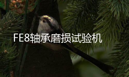 FE8轴承磨损试验机