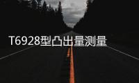 T6928型凸出量丈量仪