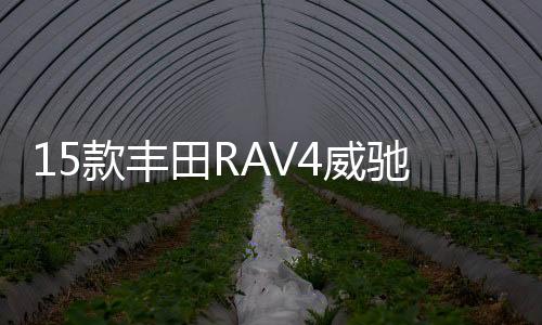15款丰田RAV4威驰花冠卡罗拉雷凌逸致雅力士原装电瓶瓦尔塔蓄电池