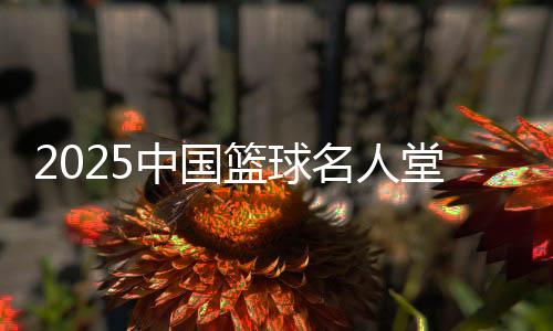 2025中国篮球名人堂入堂规模确定 最终结果11月公布
