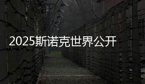 2025斯诺克世界公开赛：丁俊晖轻松晋级 塞尔比爆冷出局